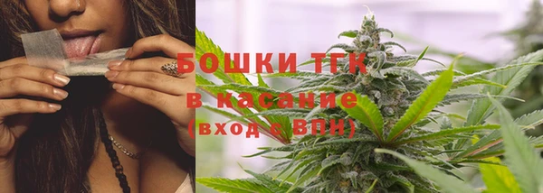 ПСИЛОЦИБИНОВЫЕ ГРИБЫ Арсеньев