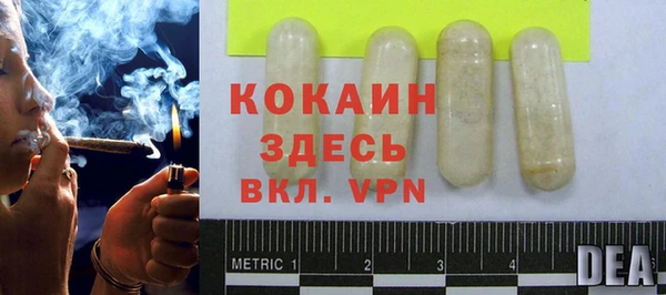 ПСИЛОЦИБИНОВЫЕ ГРИБЫ Арсеньев