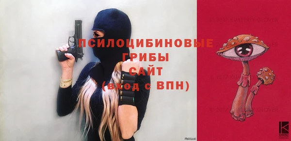 ПСИЛОЦИБИНОВЫЕ ГРИБЫ Арсеньев