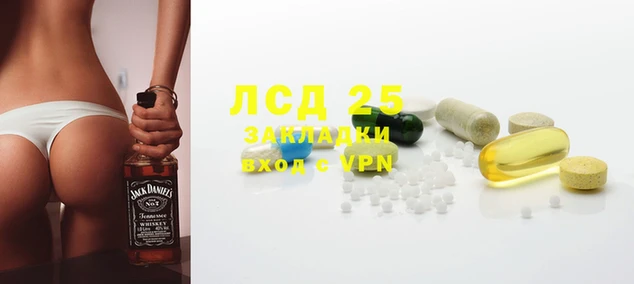 ПСИЛОЦИБИНОВЫЕ ГРИБЫ Арсеньев